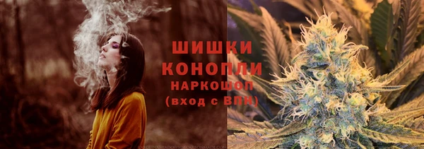 2c-b Лабытнанги
