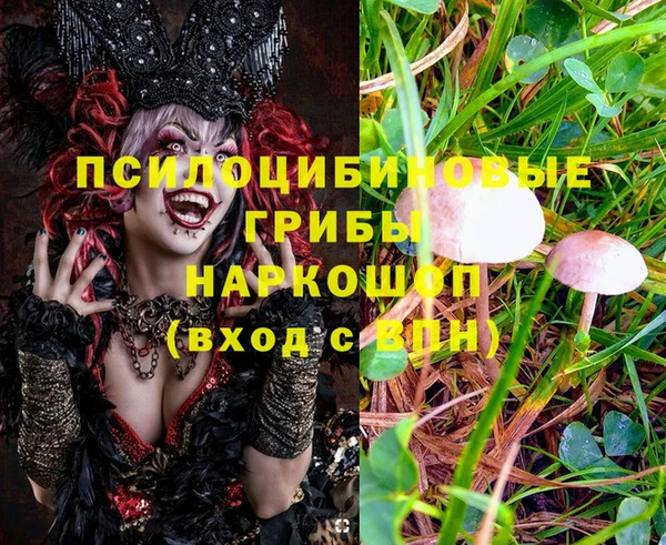 сатива Лагань