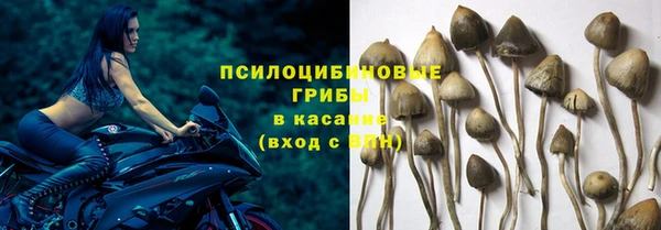 a pvp Горно-Алтайск