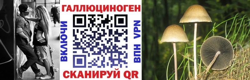 МЕГА ONION  Нерюнгри  Псилоцибиновые грибы Cubensis  купить  