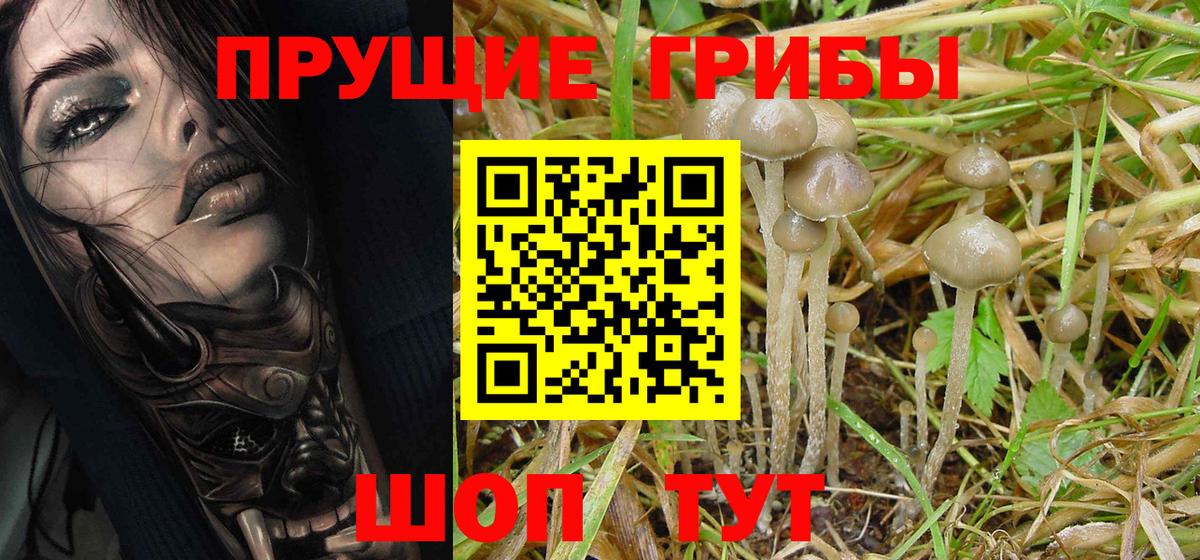 Галлюциногенные грибы ЛСД Нерюнгри