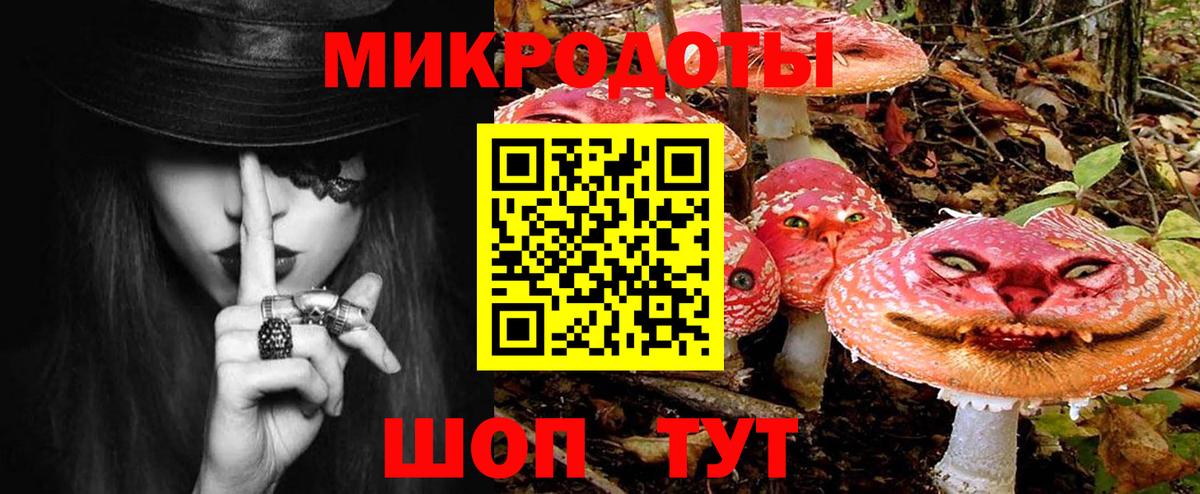 Нерюнгри  Псилоцибиновые грибы мицелий  Вход с VPN 